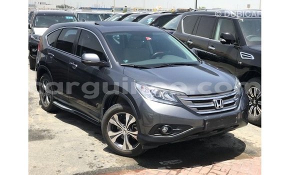 Acheter Import Moto Honda C Autre à Import - Dubai, Conakry Acheter Import Moto Honda C Autre à Import - Dubai, Conakry