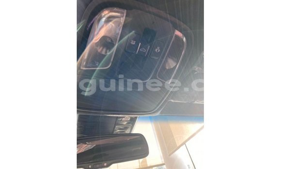 Buy Import Kia Stinger Red Car in Import - Dubai in Conakry Buy Import Kia Stinger Red Car in Import - Dubai in Conakry