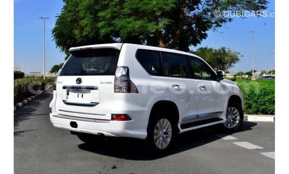 Buy Import Lexus GX White Car in Import - Dubai in Conakry Buy Import Lexus GX White Car in Import - Dubai in Conakry