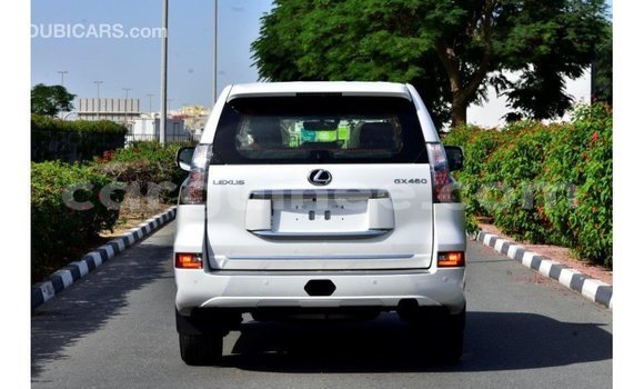 Buy Import Lexus GX White Car in Import - Dubai in Conakry Buy Import Lexus GX White Car in Import - Dubai in Conakry