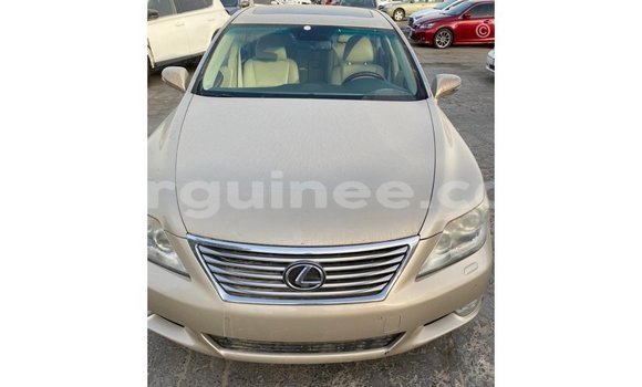 Acheter Import Voiture Lexus LS Autre à Import - Dubai, Conakry Acheter Import Voiture Lexus LS Autre à Import - Dubai, Conakry