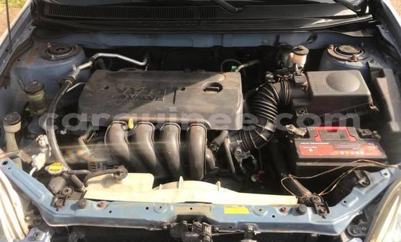 Buy Used Toyota Matrix Blue Car in Conakry in Conakry Buy Used Toyota Matrix Blue Car in Conakry in Conakry