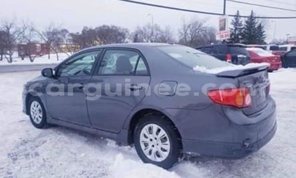 Buy Used Toyota Corolla Black Car in Conakry in Conakry Buy Used Toyota Corolla Black Car in Conakry in Conakry