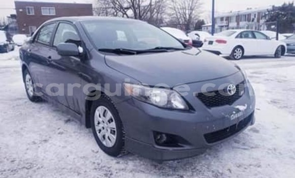 Buy Used Toyota Corolla Black Car in Conakry in Conakry Buy Used Toyota Corolla Black Car in Conakry in Conakry