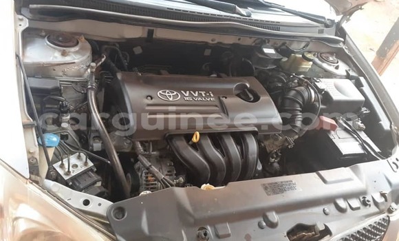 Acheter Occasion Voiture Toyota Corolla Gris à Conakry, Conakry Acheter Occasion Voiture Toyota Corolla Gris à Conakry, Conakry