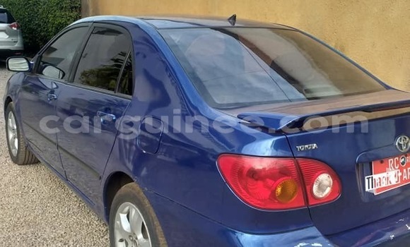 Acheter Occasion Voiture Toyota Corolla Bleu à Conakry, Conakry Acheter Occasion Voiture Toyota Corolla Bleu à Conakry, Conakry