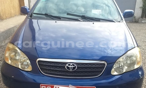 Acheter Occasion Voiture Toyota Corolla Bleu à Conakry, Conakry Acheter Occasion Voiture Toyota Corolla Bleu à Conakry, Conakry