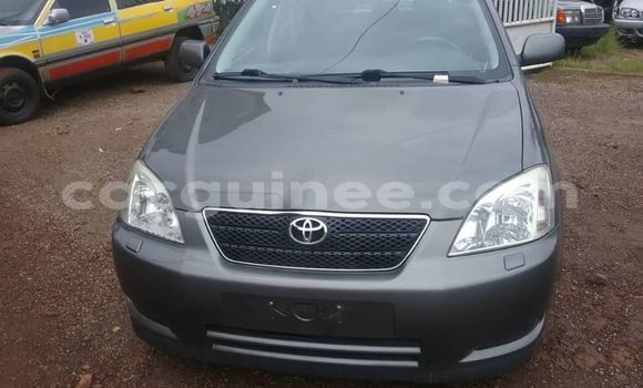 Buy Used Toyota Corolla Other Car in Conakry in Conakry Buy Used Toyota Corolla Other Car in Conakry in Conakry