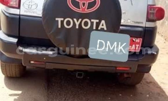 Acheter Occasion Voiture Toyota FJ Cruiser Gris à Conakry, Conakry Acheter Occasion Voiture Toyota FJ Cruiser Gris à Conakry, Conakry