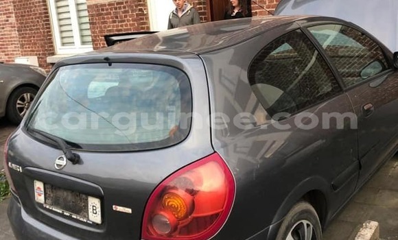 Buy Used Nissan Almera Other Car in Conakry in Conakry Buy Used Nissan Almera Other Car in Conakry in Conakry
