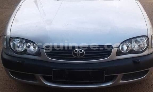 Acheter Occasion Voiture Toyota Corolla Gris à Conakry, Conakry