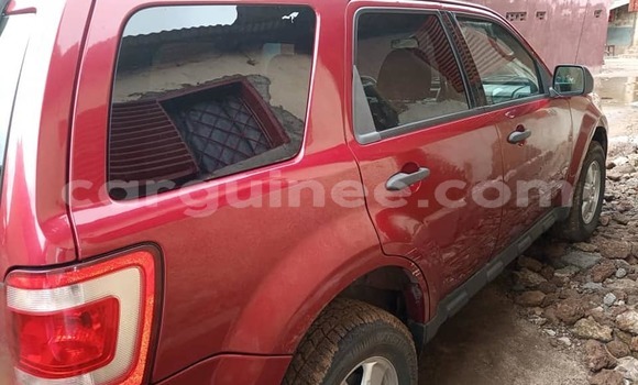 Buy Used Ford Escape Red Car in Conakry in Conakry Buy Used Ford Escape Red Car in Conakry in Conakry