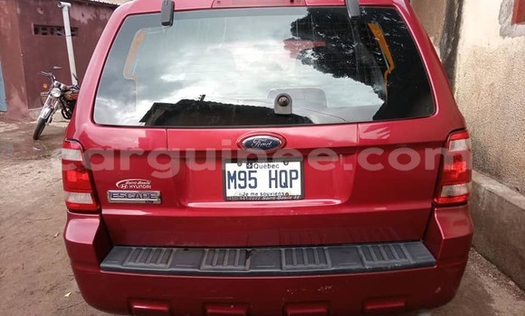 Buy Used Ford Escape Red Car in Conakry in Conakry Buy Used Ford Escape Red Car in Conakry in Conakry