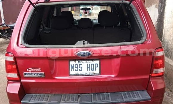 Buy Used Ford Escape Red Car in Conakry in Conakry Buy Used Ford Escape Red Car in Conakry in Conakry