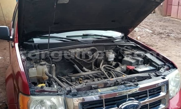 Buy Used Ford Escape Red Car in Conakry in Conakry Buy Used Ford Escape Red Car in Conakry in Conakry