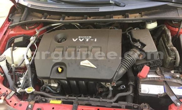 Acheter Occasion Voiture Toyota Corolla Rouge à Conakry, Conakry Acheter Occasion Voiture Toyota Corolla Rouge à Conakry, Conakry