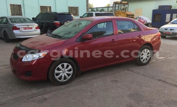 Acheter Occasion Voiture Toyota Corolla Rouge à Conakry, Conakry Acheter Occasion Voiture Toyota Corolla Rouge à Conakry, Conakry