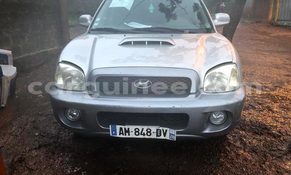 Acheter Occasion Voiture Hyundai Santa Fe Gris à Nzérékoré, Nzérékoré