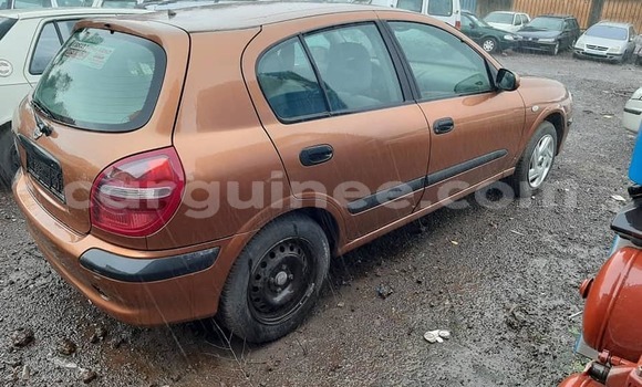 Buy Used Nissan Almera Brown Car in Conakry in Conakry Buy Used Nissan Almera Brown Car in Conakry in Conakry