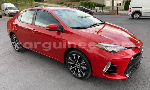 Buy Used Toyota Corolla Red Car in Conakry in Conakry Buy Used Toyota Corolla Red Car in Conakry in Conakry