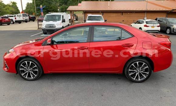 Buy Used Toyota Corolla Red Car in Conakry in Conakry Buy Used Toyota Corolla Red Car in Conakry in Conakry