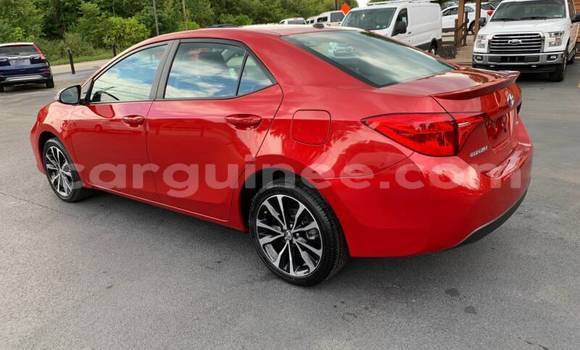 Buy Used Toyota Corolla Red Car in Conakry in Conakry Buy Used Toyota Corolla Red Car in Conakry in Conakry