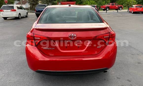 Buy Used Toyota Corolla Red Car in Conakry in Conakry Buy Used Toyota Corolla Red Car in Conakry in Conakry
