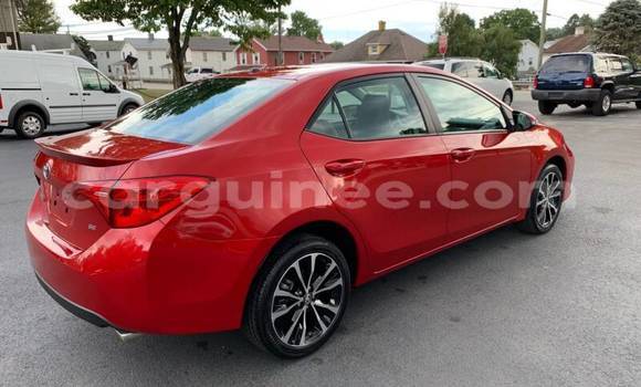 Buy Used Toyota Corolla Red Car in Conakry in Conakry Buy Used Toyota Corolla Red Car in Conakry in Conakry