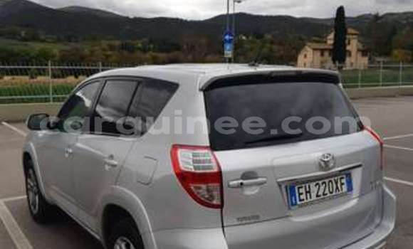 Buy Import Toyota RAV4 Silver Car in Conakry in Conakry Buy Import Toyota RAV4 Silver Car in Conakry in Conakry