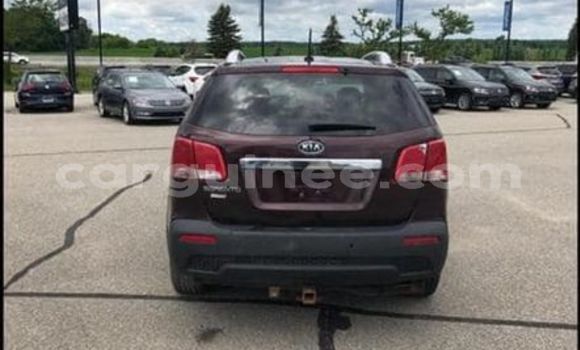 Buy Used Kia Sorento Other Car in Conakry in Conakry Buy Used Kia Sorento Other Car in Conakry in Conakry