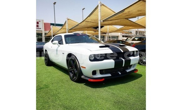 Acheter Import Voiture Dodge Challenger Blanc à Import - Dubai, Conakry
