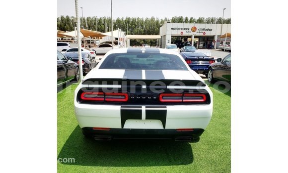 Buy Import Dodge Challenger White Car in Import - Dubai in Conakry Buy Import Dodge Challenger White Car in Import - Dubai in Conakry