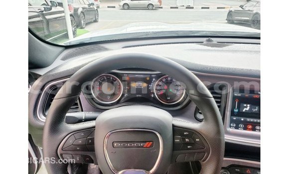 Buy Import Dodge Challenger White Car in Import - Dubai in Conakry Buy Import Dodge Challenger White Car in Import - Dubai in Conakry