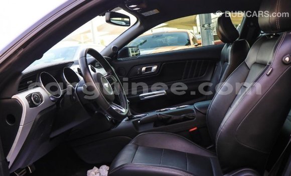 Buy Import Ford Mustang Black Car in Import - Dubai in Conakry Buy Import Ford Mustang Black Car in Import - Dubai in Conakry