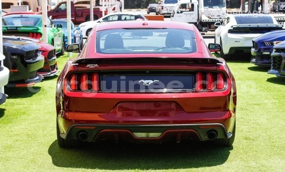 Buy Import Ford Mustang Red Car in Import - Dubai in Conakry Buy Import Ford Mustang Red Car in Import - Dubai in Conakry