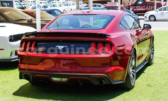 Buy Import Ford Mustang Red Car in Import - Dubai in Conakry Buy Import Ford Mustang Red Car in Import - Dubai in Conakry