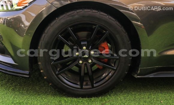 Acheter Import Voiture Ford Mustang Autre à Import - Dubai, Conakry Acheter Import Voiture Ford Mustang Autre à Import - Dubai, Conakry