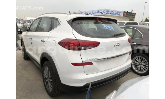 Acheter Import Voiture Hyundai Tucson Blanc à Import - Dubai, Conakry Acheter Import Voiture Hyundai Tucson Blanc à Import - Dubai, Conakry