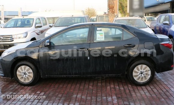 Buy Import Toyota Corolla Black Car in Import - Dubai in Conakry Buy Import Toyota Corolla Black Car in Import - Dubai in Conakry