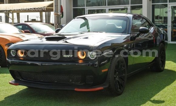 Buy Import Dodge Challenger Black Car in Import - Dubai in Conakry Buy Import Dodge Challenger Black Car in Import - Dubai in Conakry