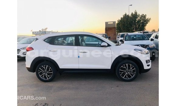 Buy Import Hyundai Tucson White Car in Import - Dubai in Conakry Buy Import Hyundai Tucson White Car in Import - Dubai in Conakry