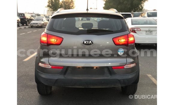 Buy Import Kia Sportage Other Car in Import - Dubai in Conakry Buy Import Kia Sportage Other Car in Import - Dubai in Conakry