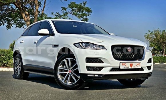 Buy Import Jaguar F-Pace White Car in Import - Dubai in Conakry