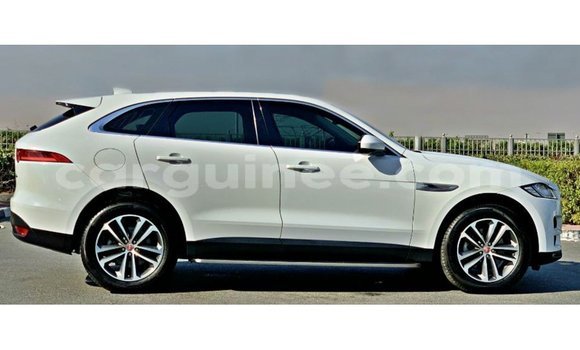 Acheter Import Voiture Jaguar F-Pace Blanc à Import - Dubai, Conakry Acheter Import Voiture Jaguar F-Pace Blanc à Import - Dubai, Conakry
