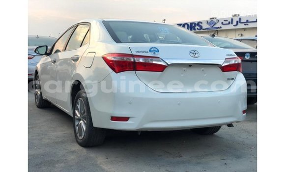 Acheter Import Voiture Toyota Corolla Blanc à Import - Dubai, Conakry Acheter Import Voiture Toyota Corolla Blanc à Import - Dubai, Conakry