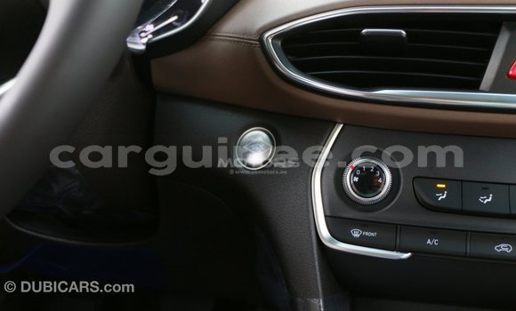Acheter Import Voiture Hyundai Santa Fe Marron à Import - Dubai, Conakry Acheter Import Voiture Hyundai Santa Fe Marron à Import - Dubai, Conakry