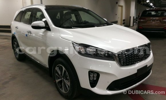 Buy Import Kia Sorento White Car in Import - Dubai in Conakry Buy Import Kia Sorento White Car in Import - Dubai in Conakry