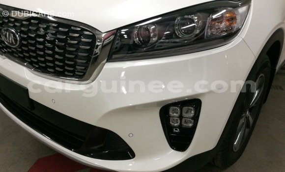 Buy Import Kia Sorento White Car in Import - Dubai in Conakry Buy Import Kia Sorento White Car in Import - Dubai in Conakry