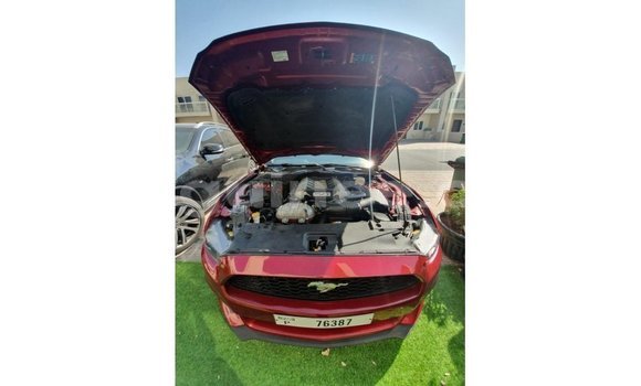 Acheter Import Voiture Ford Mustang Rouge à Import - Dubai, Conakry Acheter Import Voiture Ford Mustang Rouge à Import - Dubai, Conakry