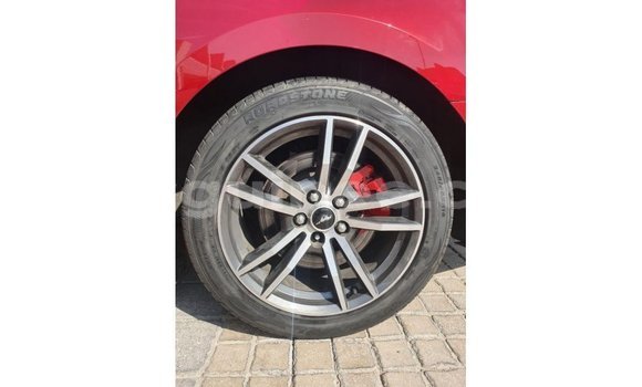 Acheter Import Voiture Ford Mustang Rouge à Import - Dubai, Conakry Acheter Import Voiture Ford Mustang Rouge à Import - Dubai, Conakry